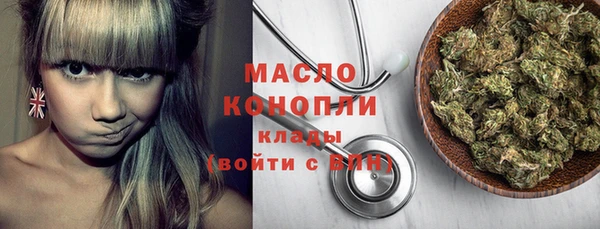 дмт Краснослободск