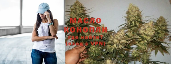 дмт Краснослободск