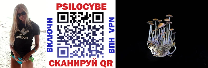 Купить где  Новокузнецк  Галлюциногенные грибы Magic Shrooms 