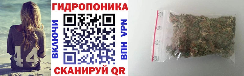 Конопля сатива  Купить где  Новокузнецк 